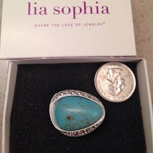 New Lia Sophia Turquoise River Rock Ring in silver size 8 in box with tag